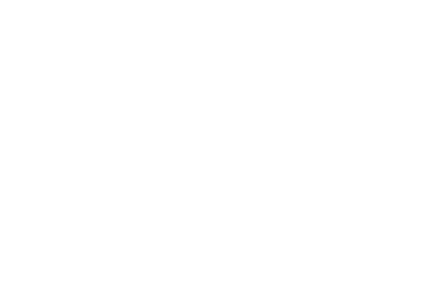 A38 Logo